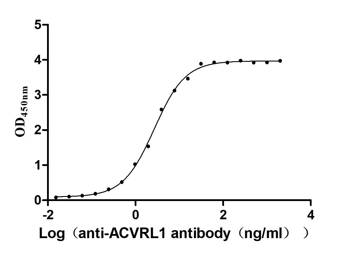 Recombinant Human Serine/threonine-protein kinase receptor R3 (ACVRL1), partial (Active)