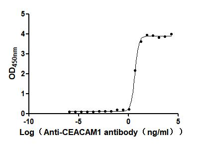 Recombinant Human Carcinoembryonic antigen-related cell adhesion molecule 1 (CEACAM1), partial, Biotinylated (Active)