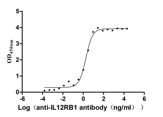 Recombinant Human Interleukin-12 receptor subunit beta-1(IL12RB1), partial (Active)