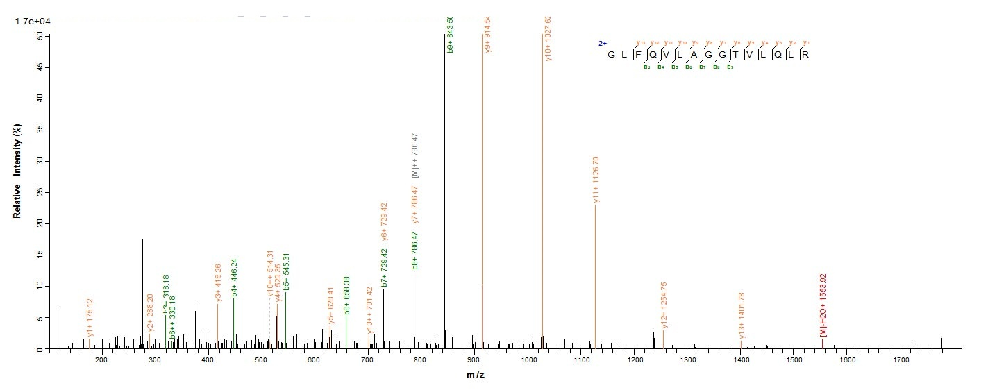 Mouse C1qa protein