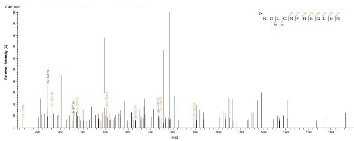 Human CD59 protein