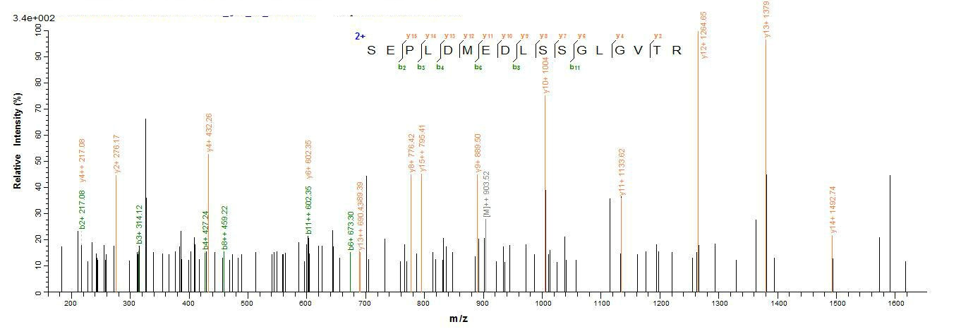 Mouse Cd74 protein