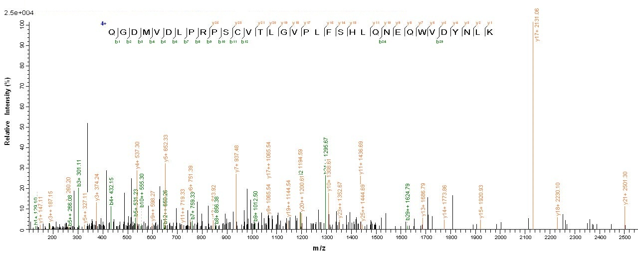 Human CHRNA1 protein