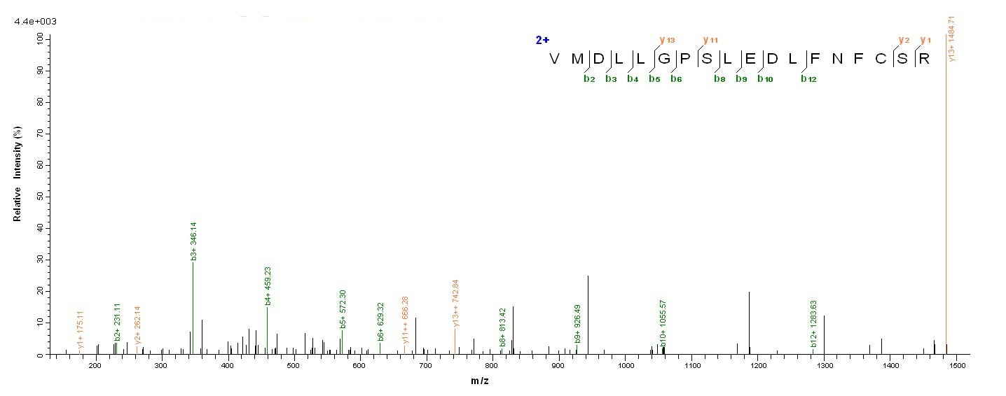Human CSNK1A1 protein