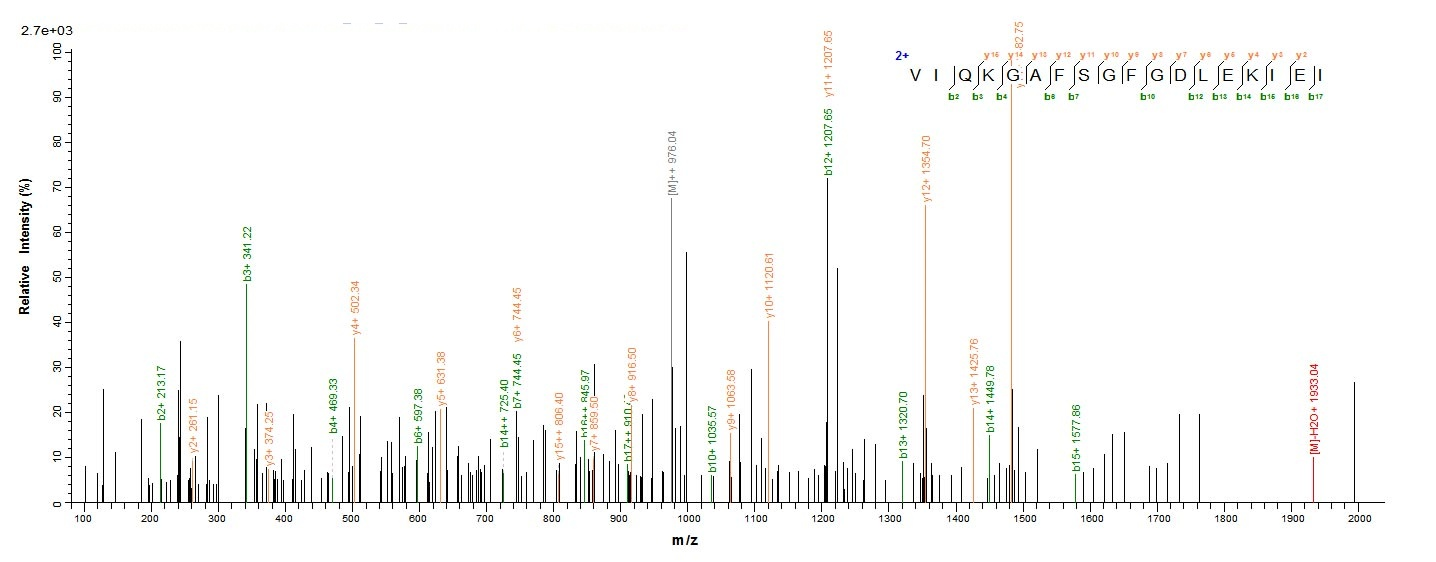 Human FSHR protein