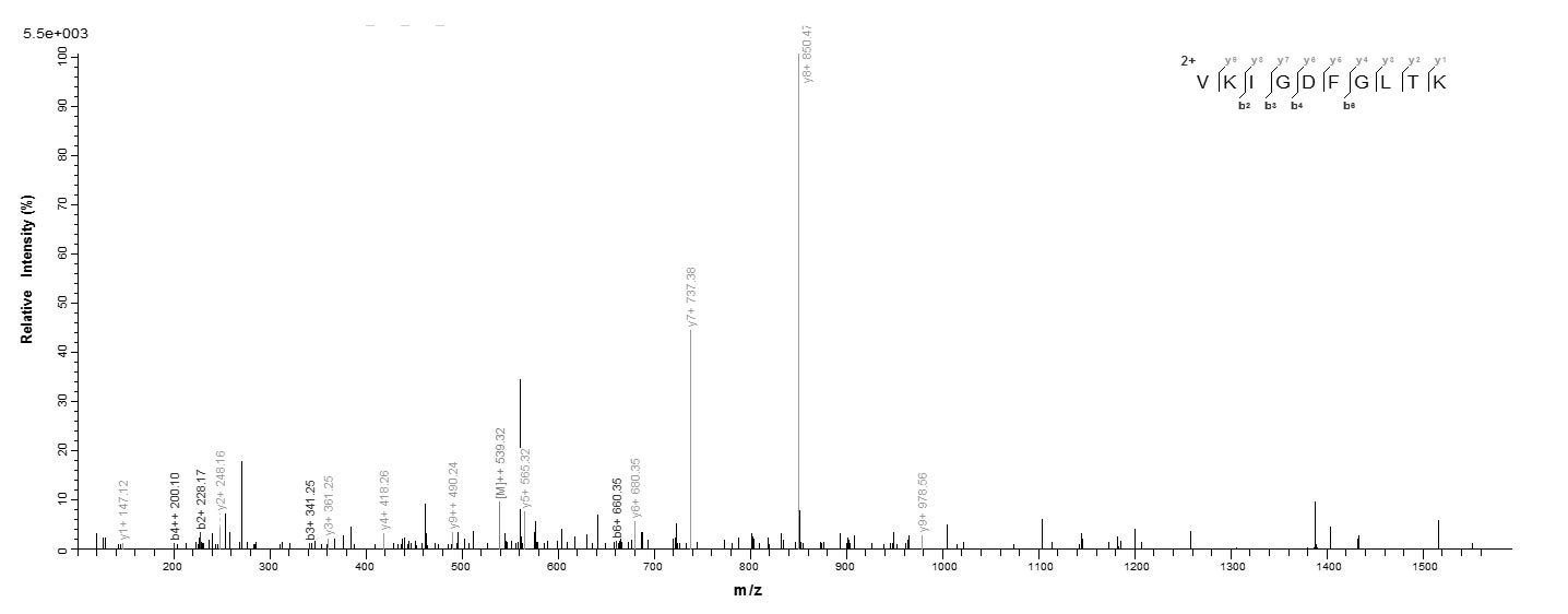 Human JAK2 protein