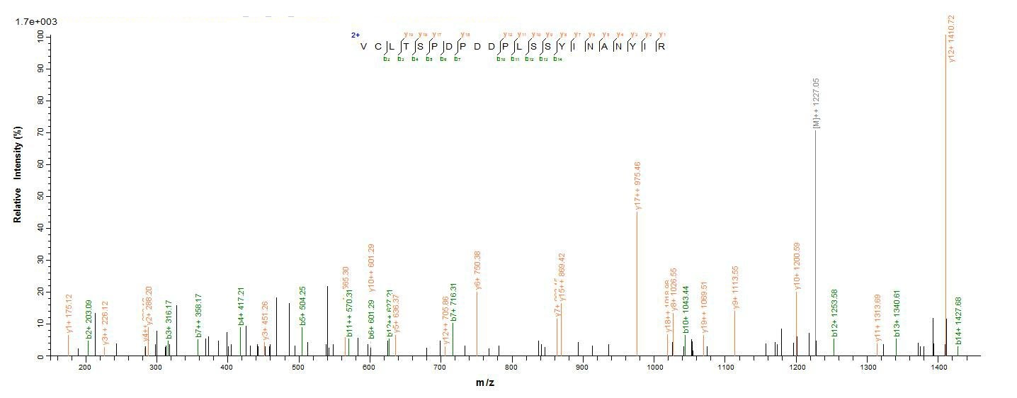 Human PTPN5 protein