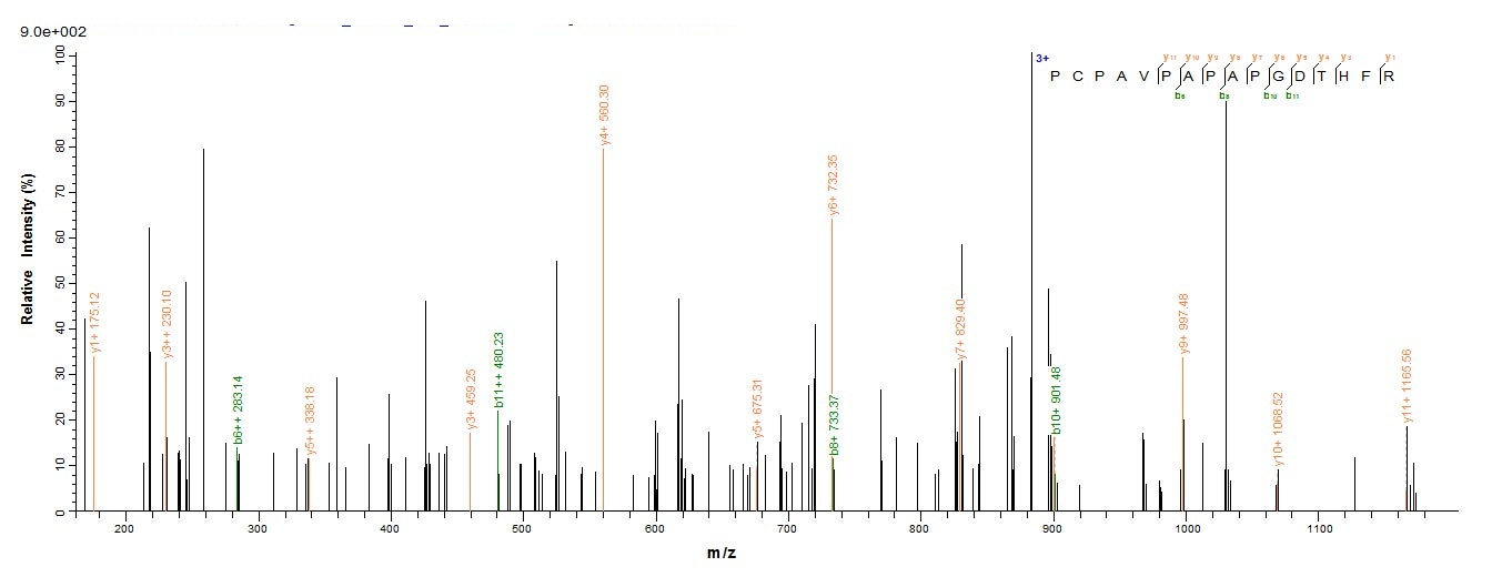 Human SOCS1 protein