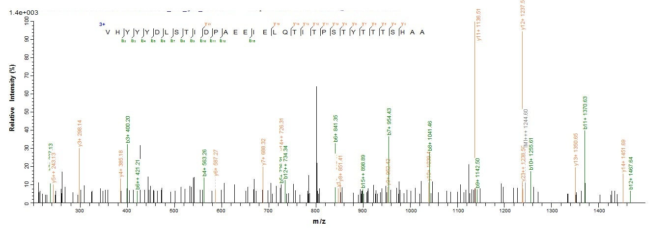 Human L2 protein