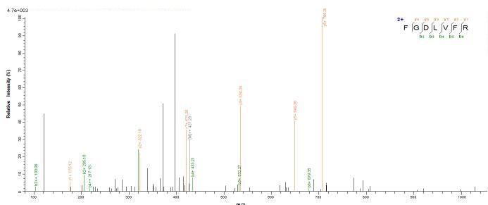 E.coli blaNDM-1 protein