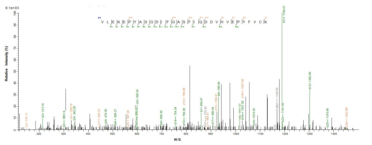 E.coli thiO protein