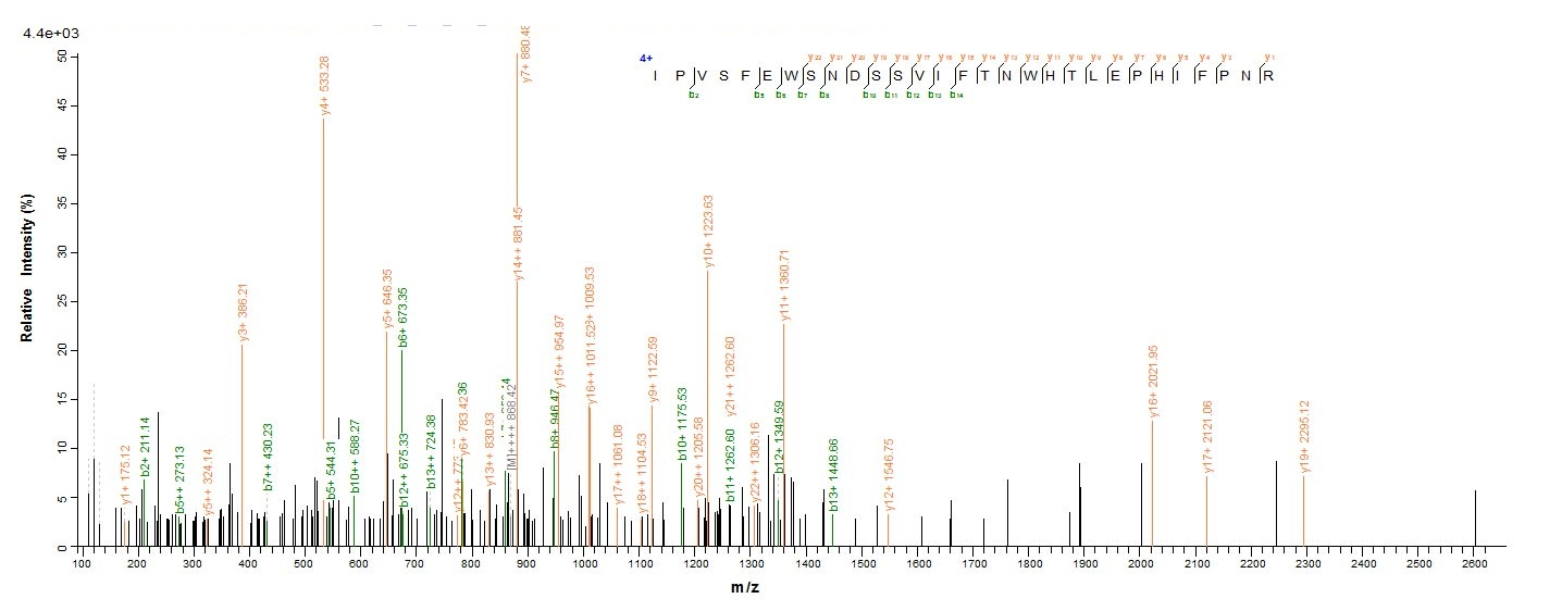 Human PLA2R1 protein