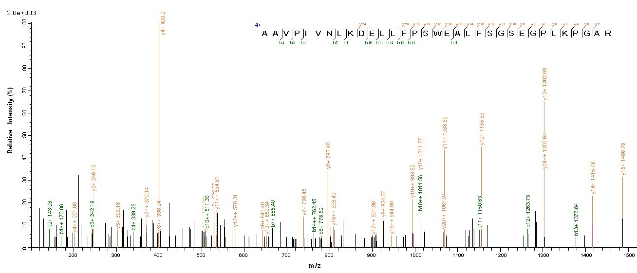 Human COL18A1 protein