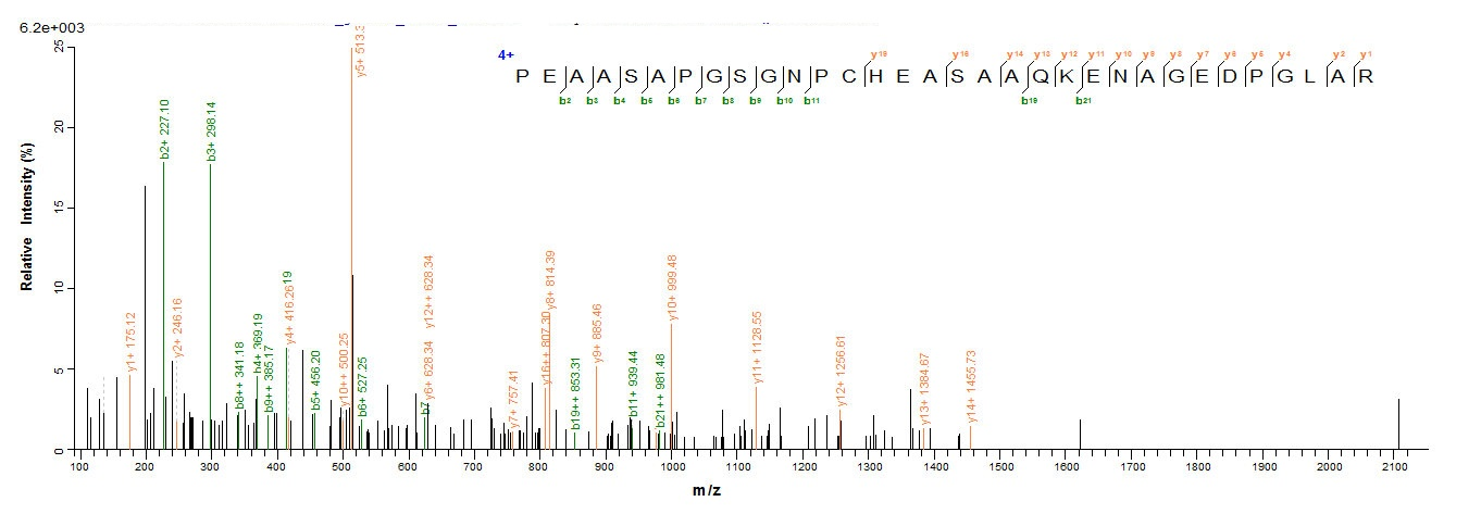 Human Dermcidin protein