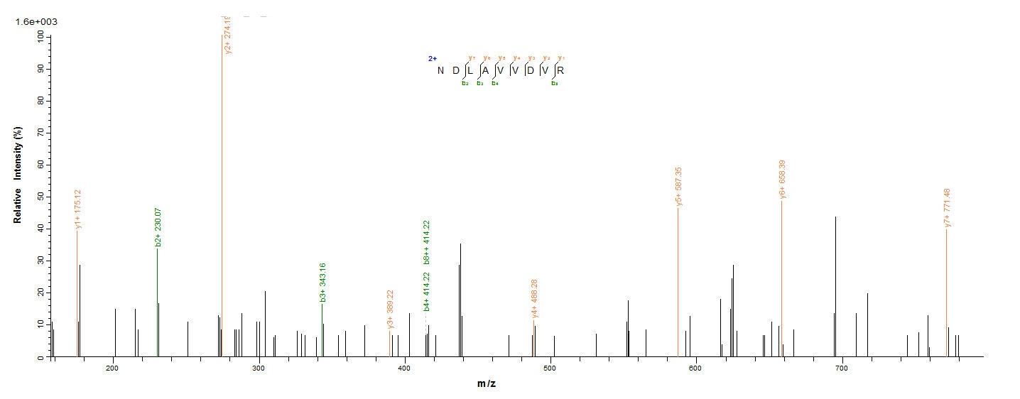Human NCL protein
