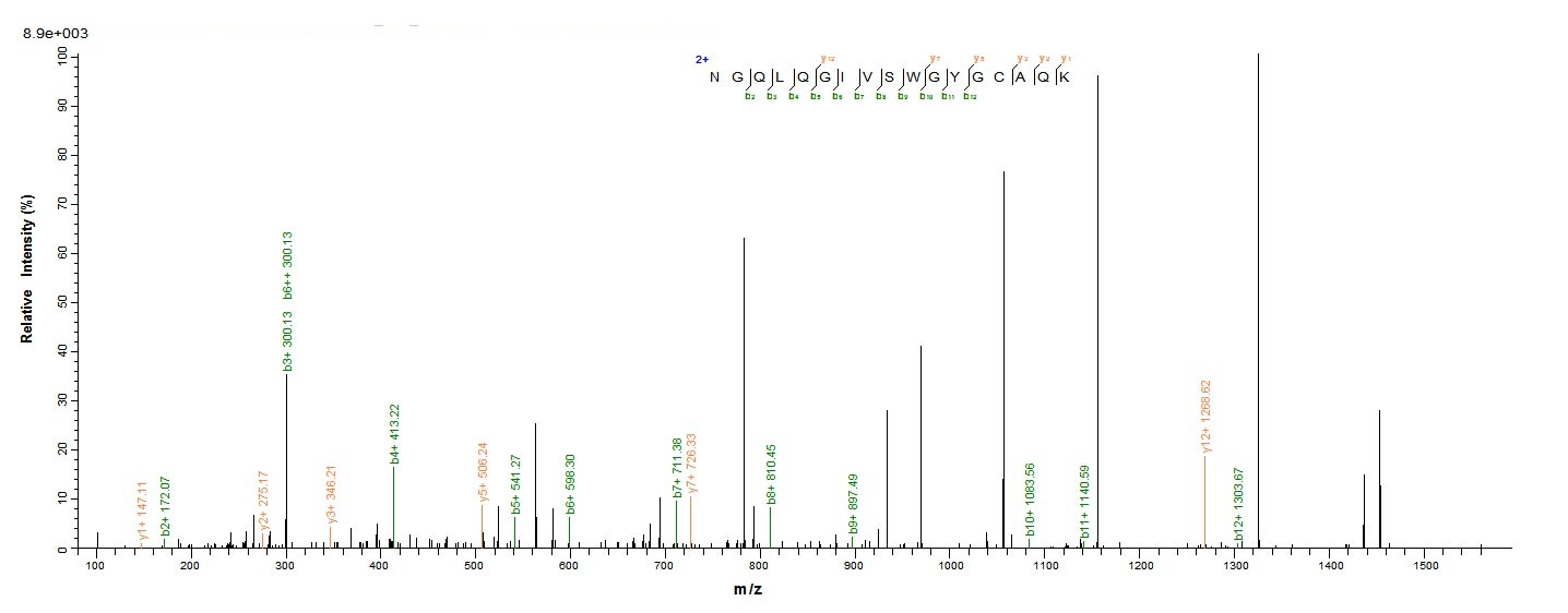 Pig Trypsin protein
