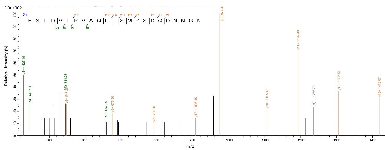 Mouse Osteopontin protein