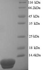 Yeast sso7d protein