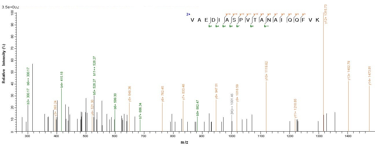 Yeast rgpA protein