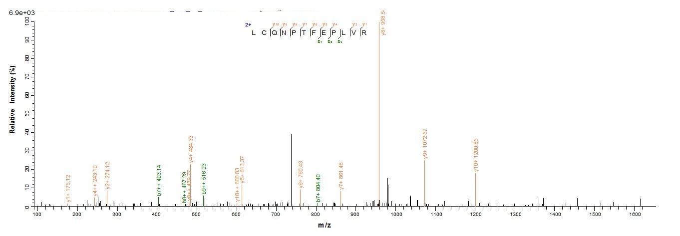 Yeast TES-26 protein