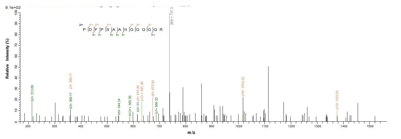 Yeast TES-26 protein