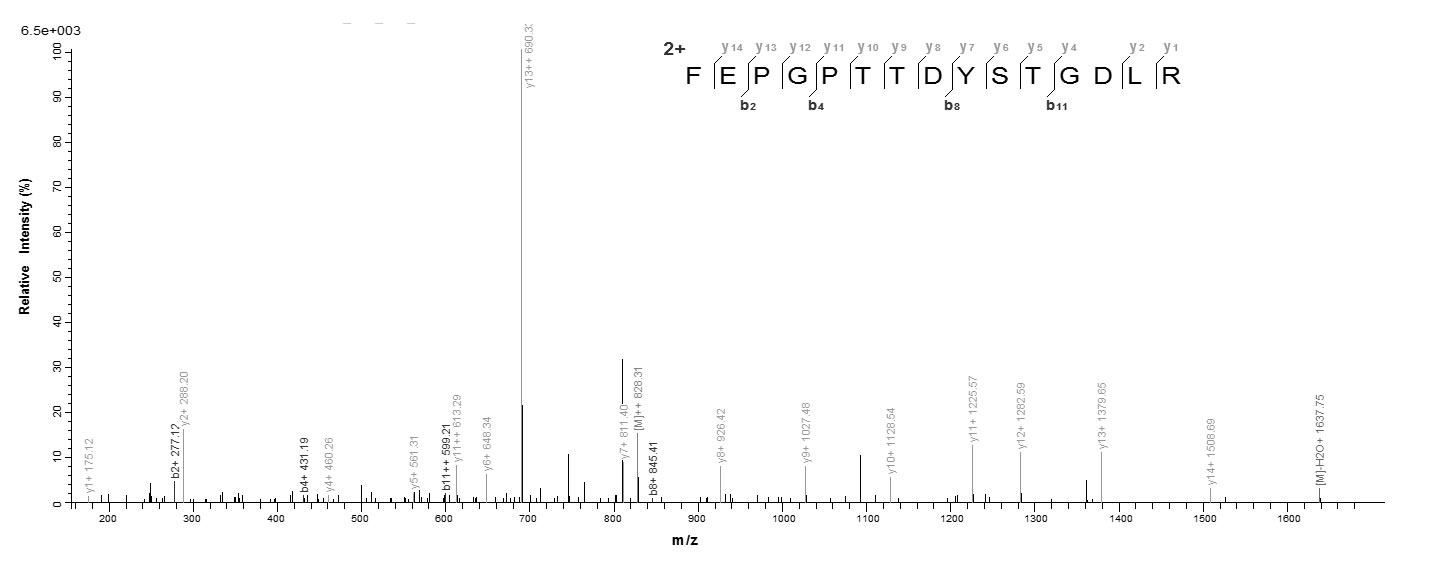 Yeast fim2 protein