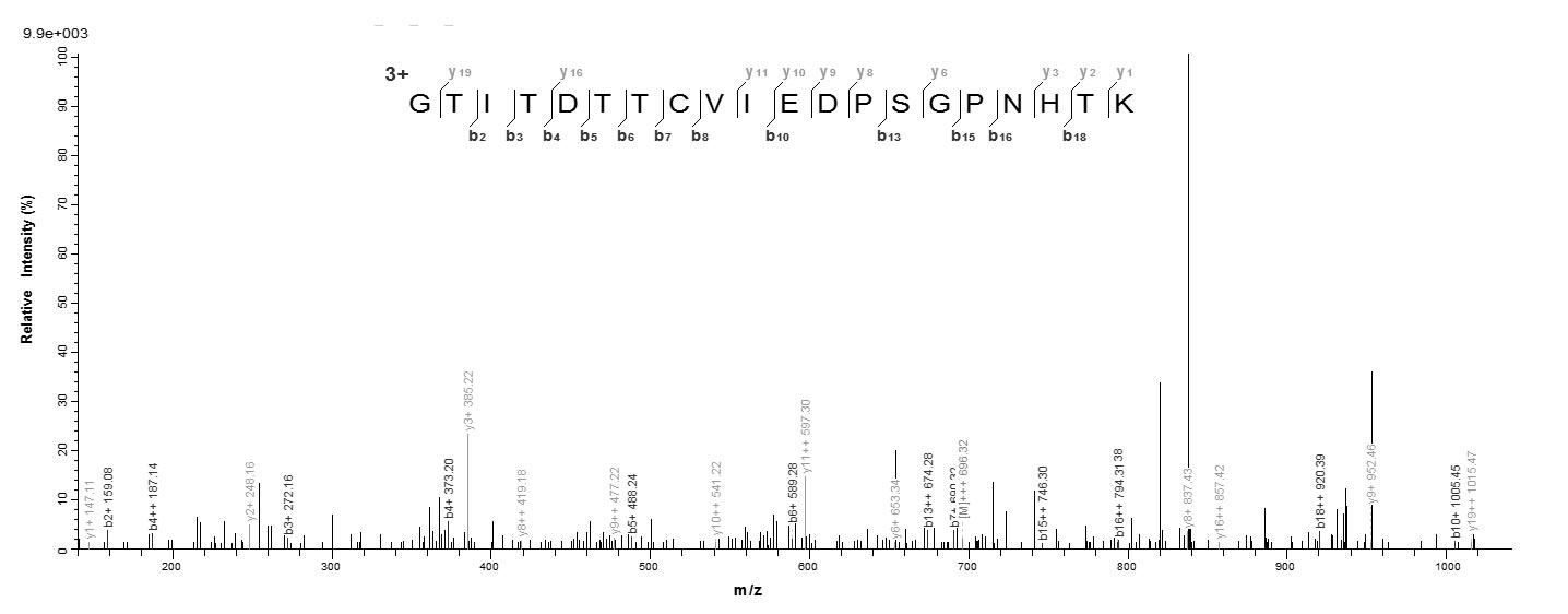 Yeast fim2 protein