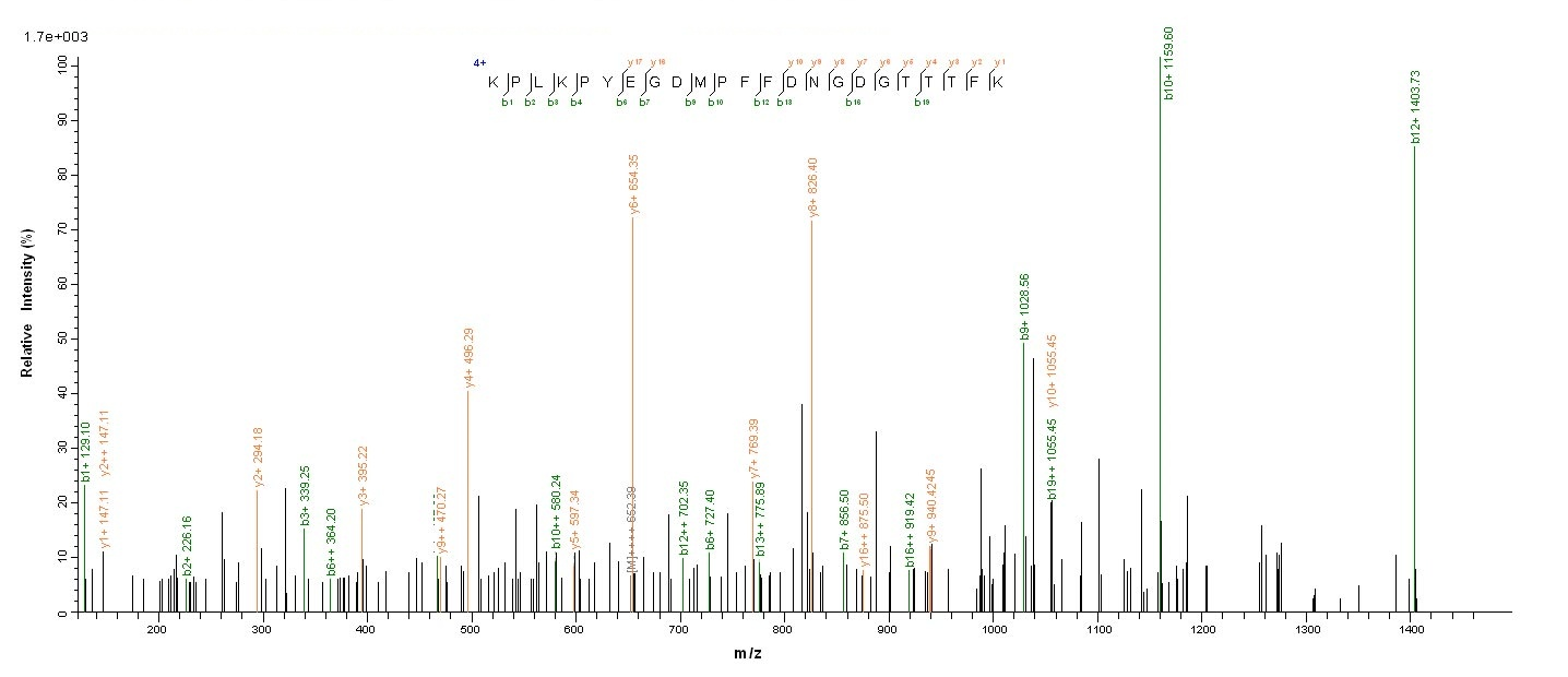 Yeast T7 Helix-destabilizing protein