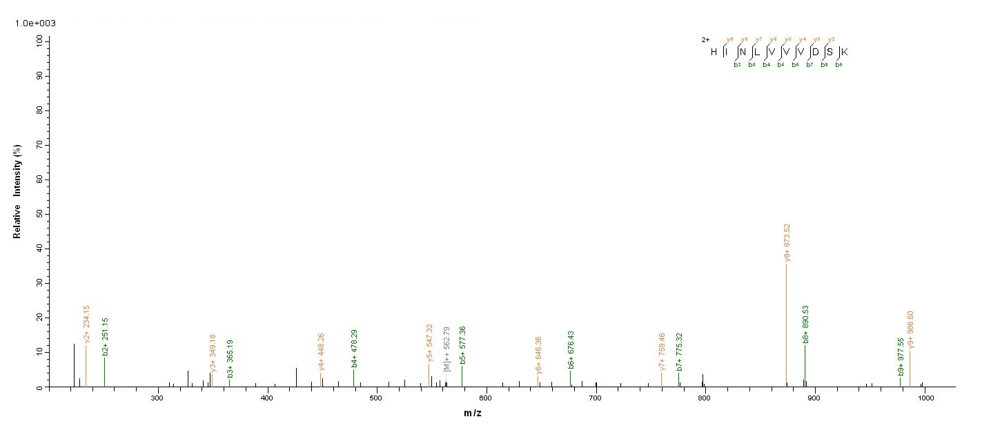 Yeast T7 Helix-destabilizing protein