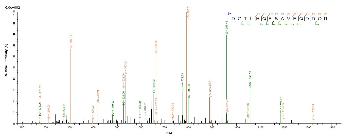 Yeast lolA protein