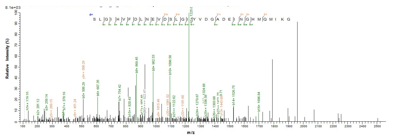 Yeast rpiA protein