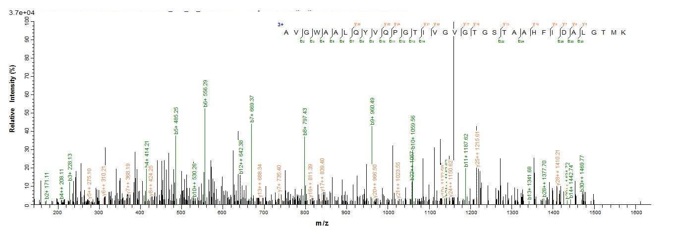 Yeast rpiA protein