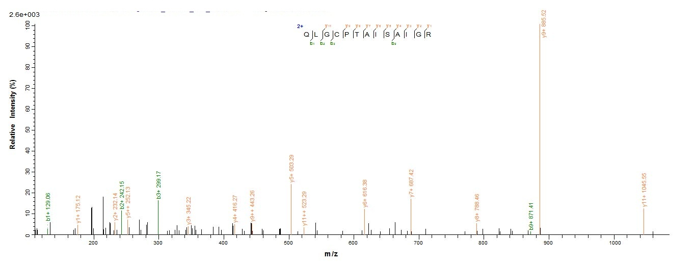 Mouse Cd163 protein