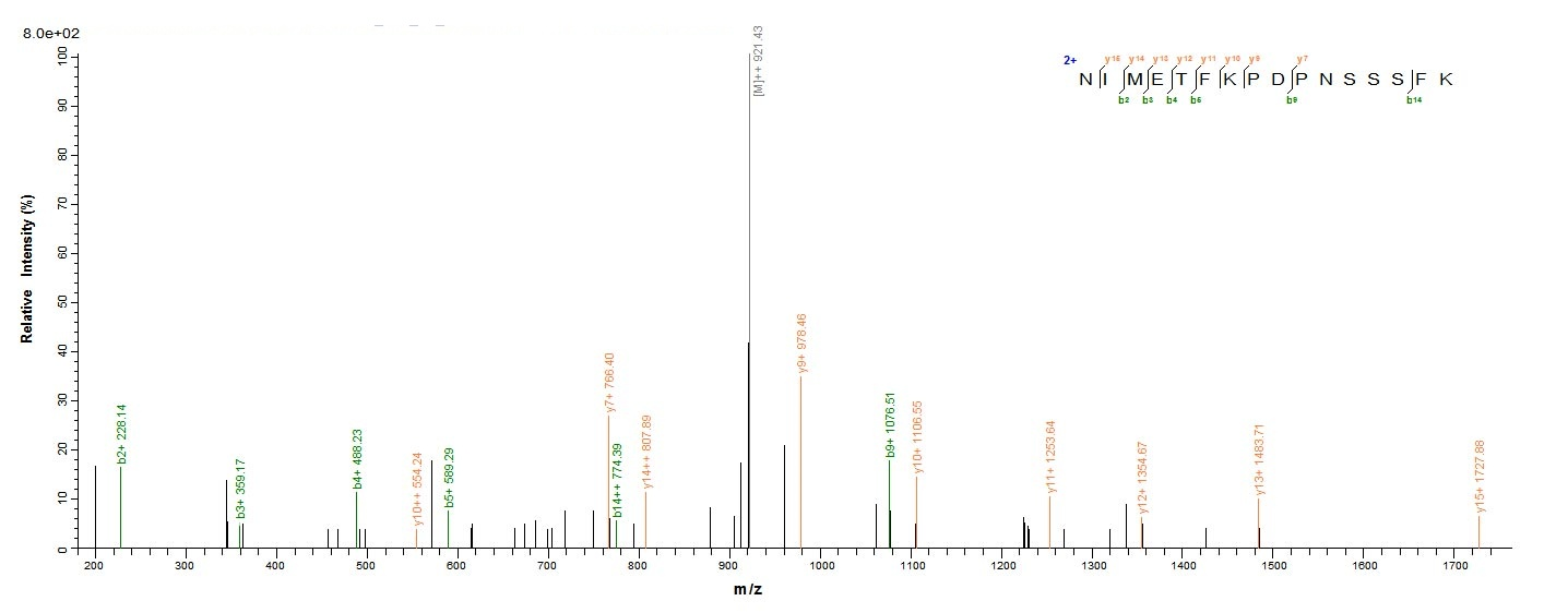 Human TRAF5 protein