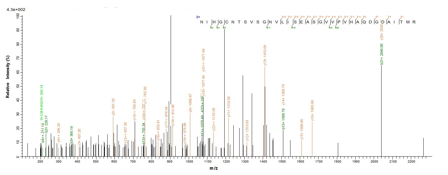 E.coli Pectate lyase 1 protein