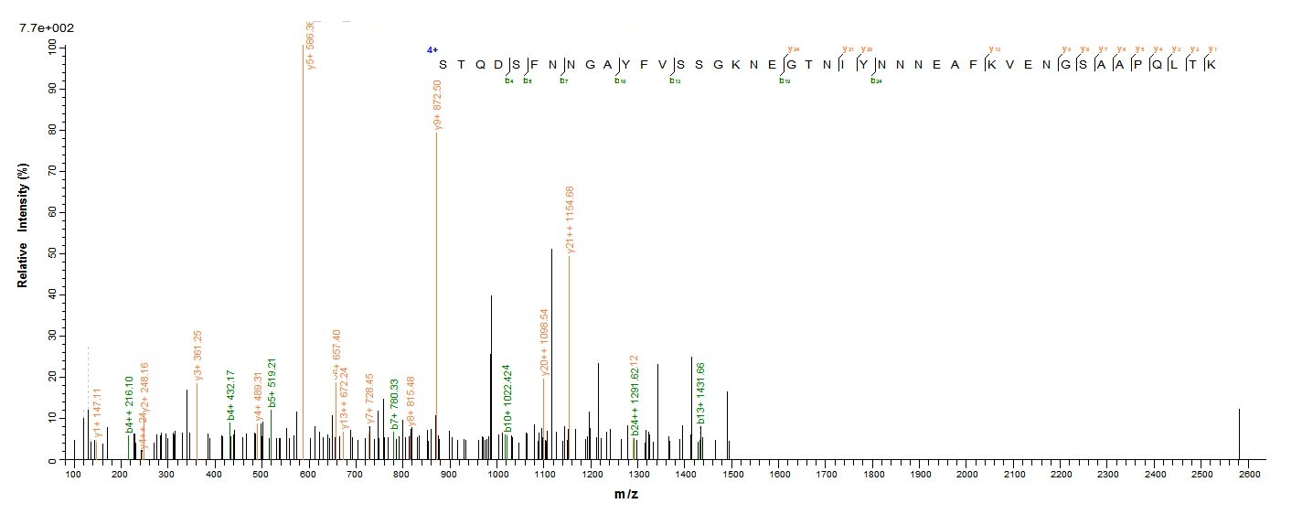 E.coli Pectate lyase 1 protein