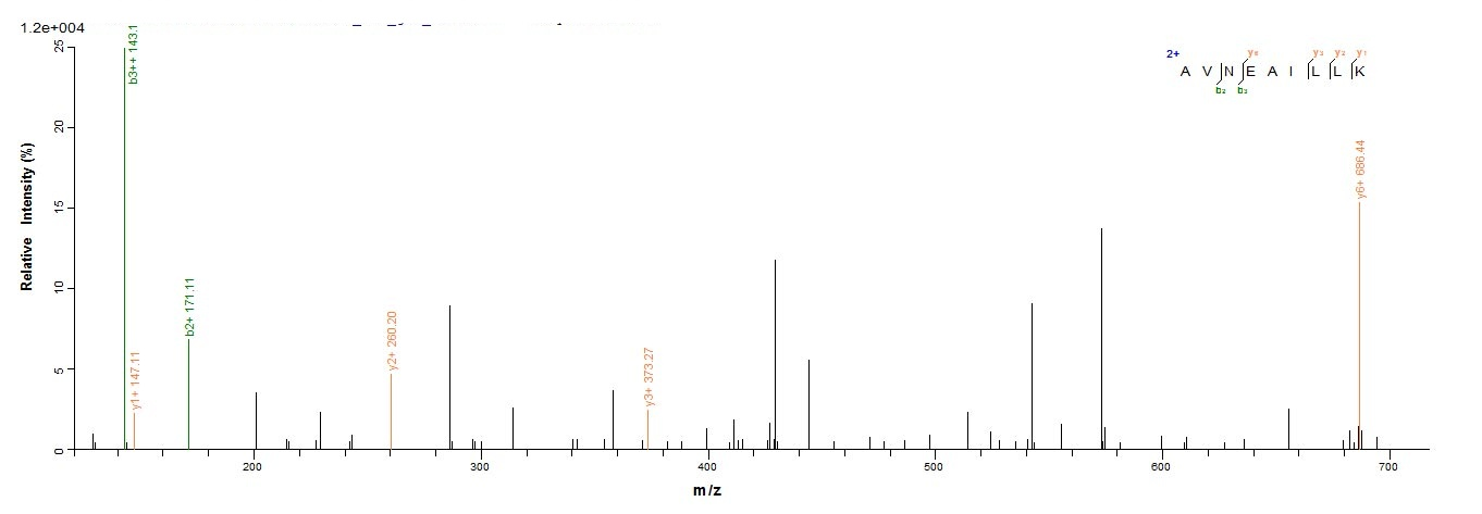 Human FANCC protein