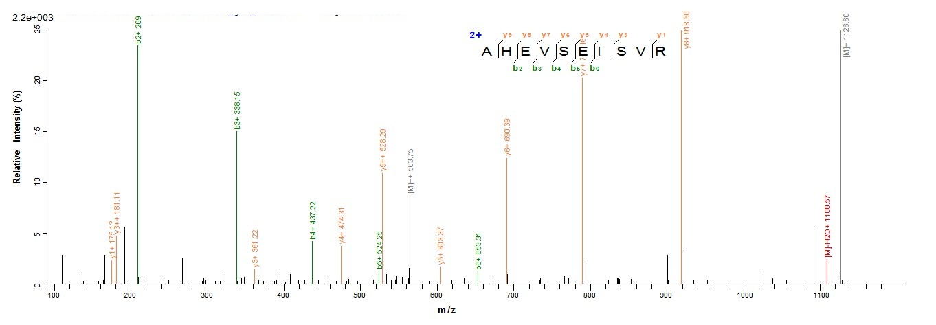 Human GYPA GPA protein