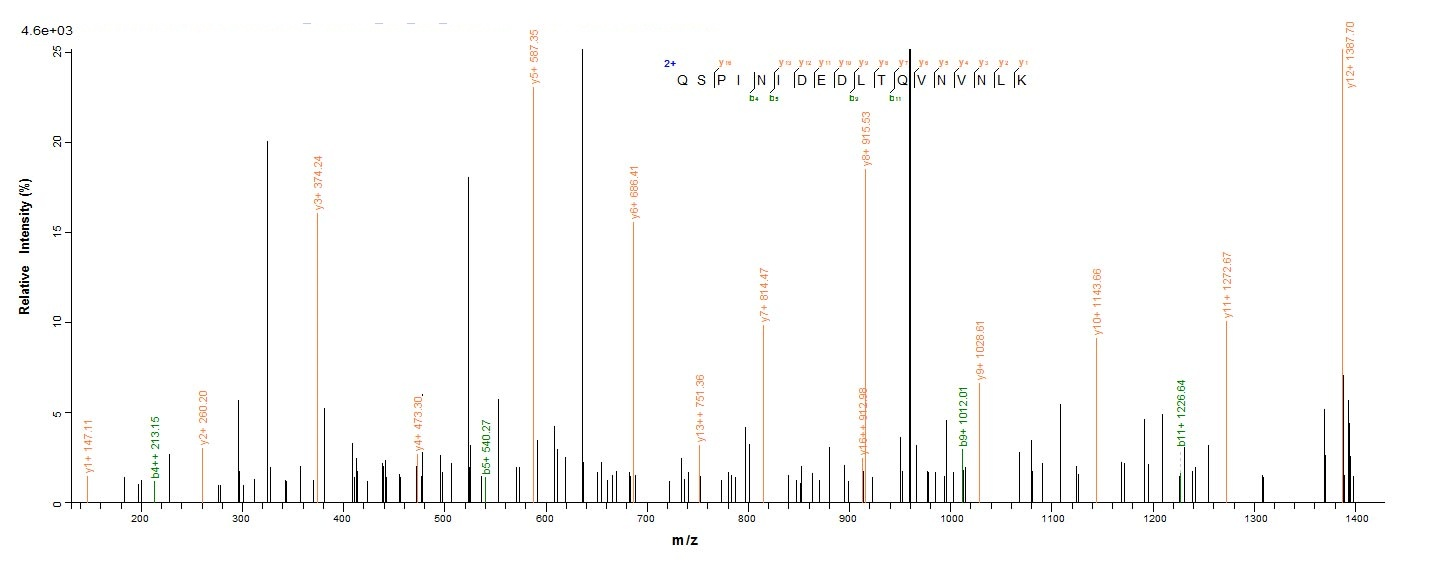 Yeast PTPRZ1 protein