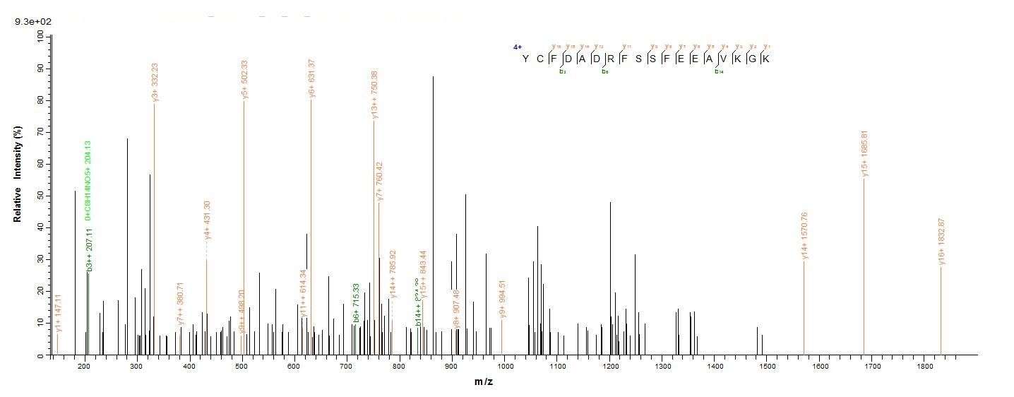 Yeast PTPRZ1 protein