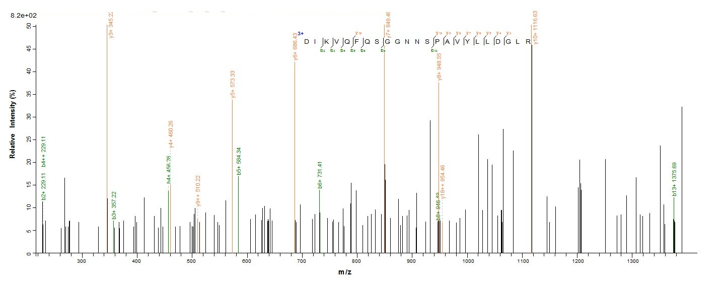 Yeast fbpB protein