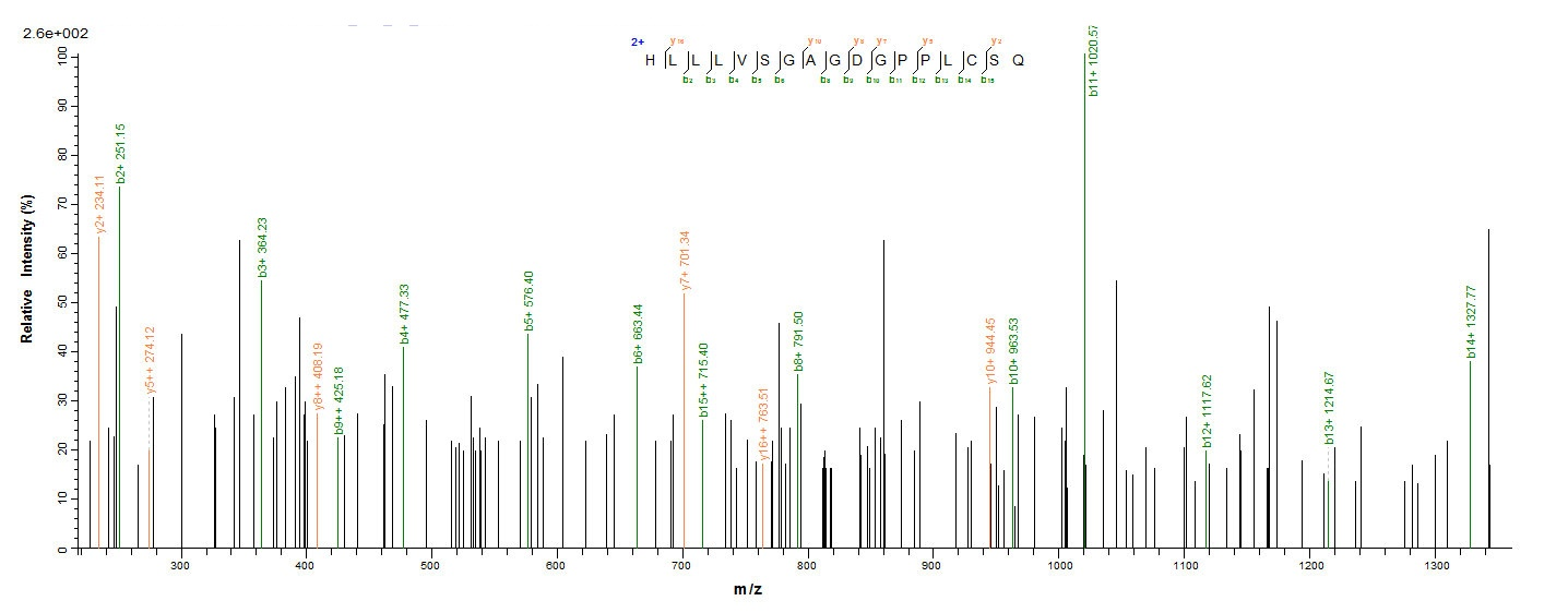 Yeast LMP1 protein