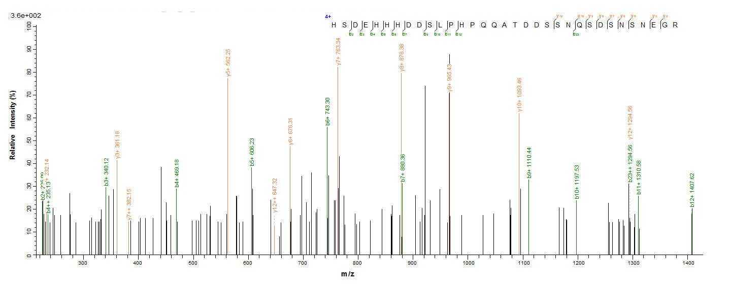 Yeast LMP1 protein