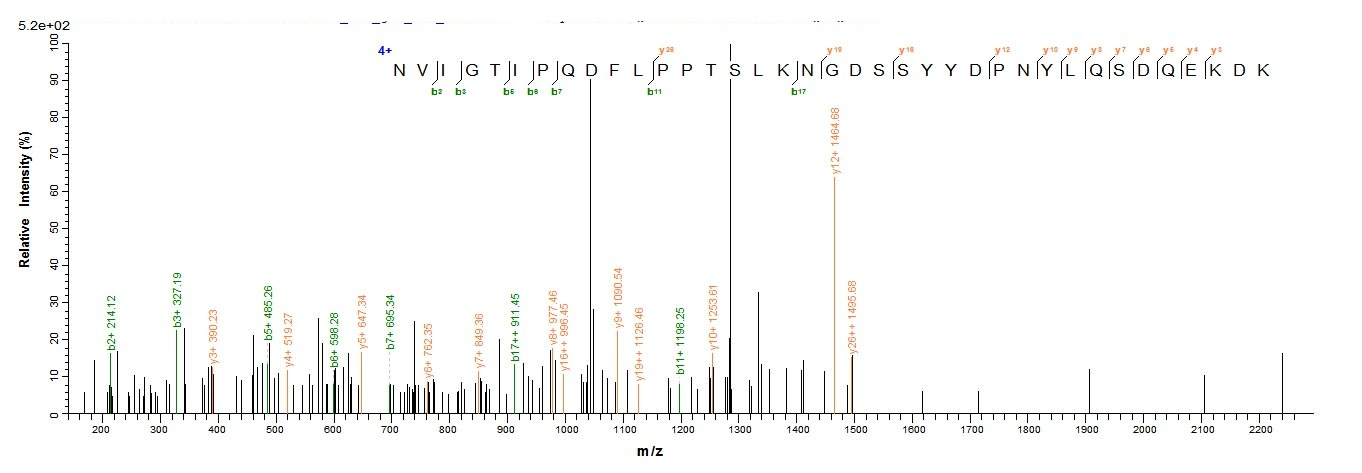 Yeast neurotoxin type E protein