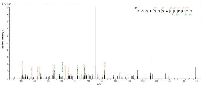 Human PLA2R1 protein