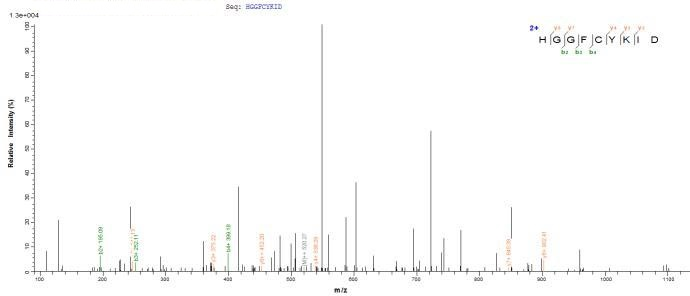 Human PLA2R1 protein