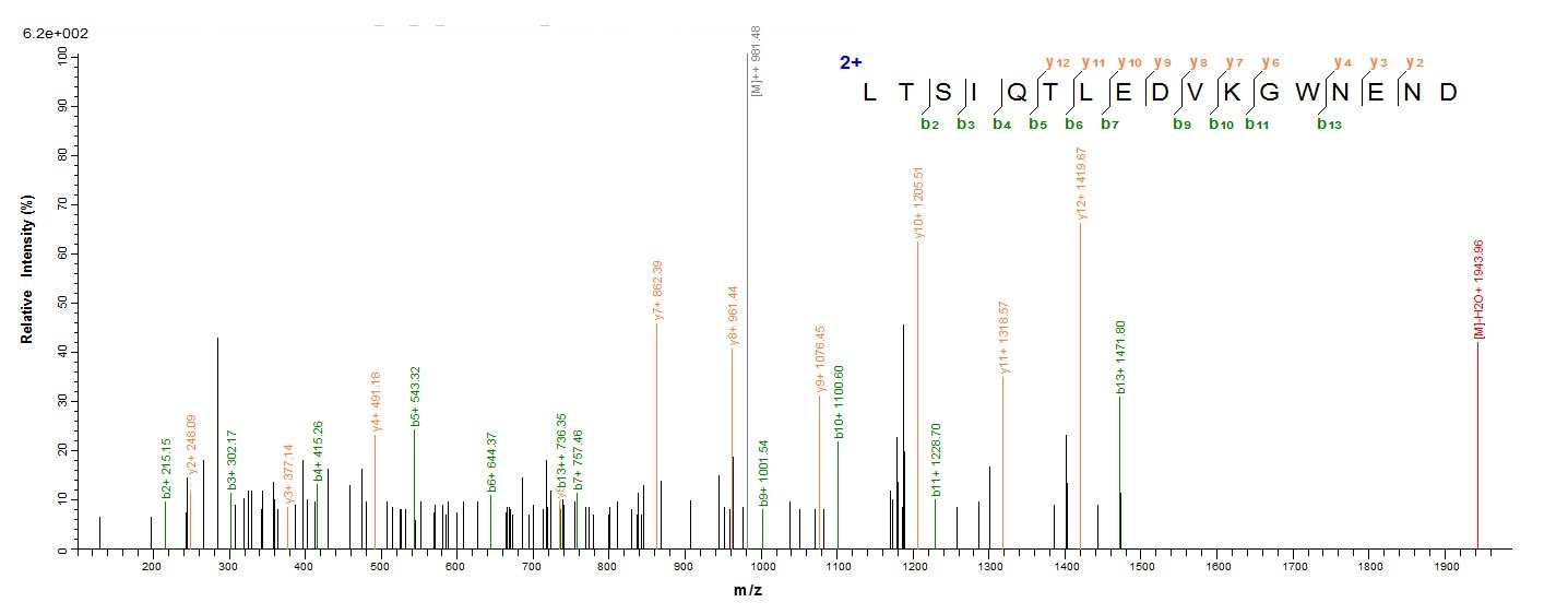 Yeast fabD protein