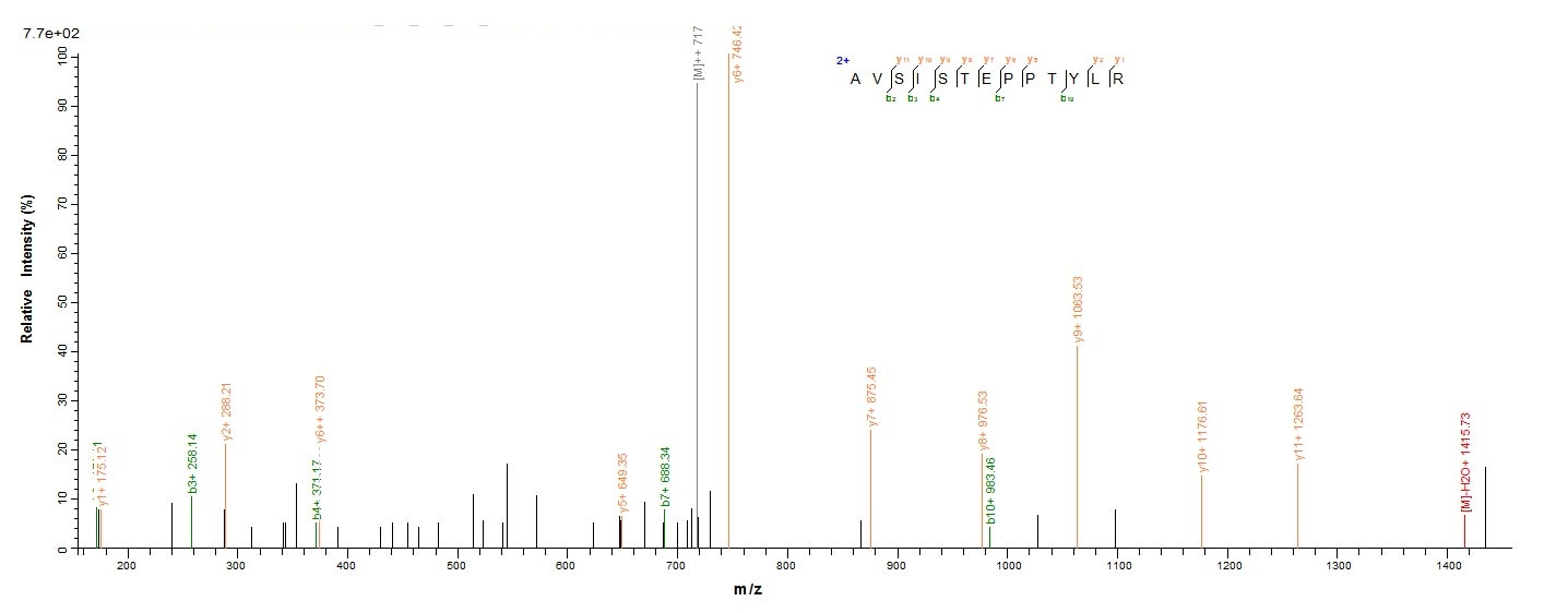 Human SMARCB1 protein