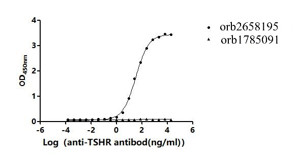 Recombinant Human Thyrotropin receptor (TSHR)-VLPs (Active)