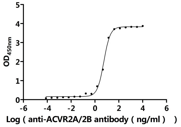 Recombinant Human/Cynomolgus monkey Activin receptor type-2A (ACVR2A), partial (Active)